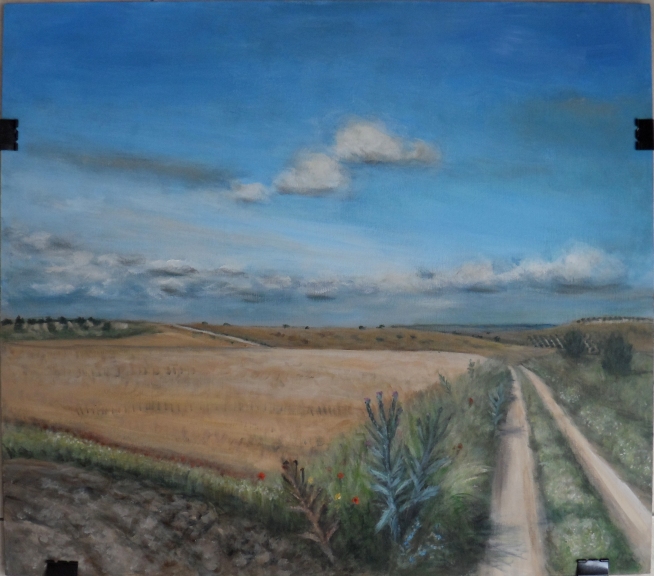big wheat field with road 2